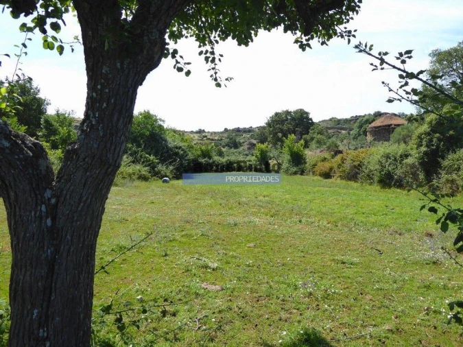Terreno Agricola ou Rústico para Venda em Escalhão Foto 8