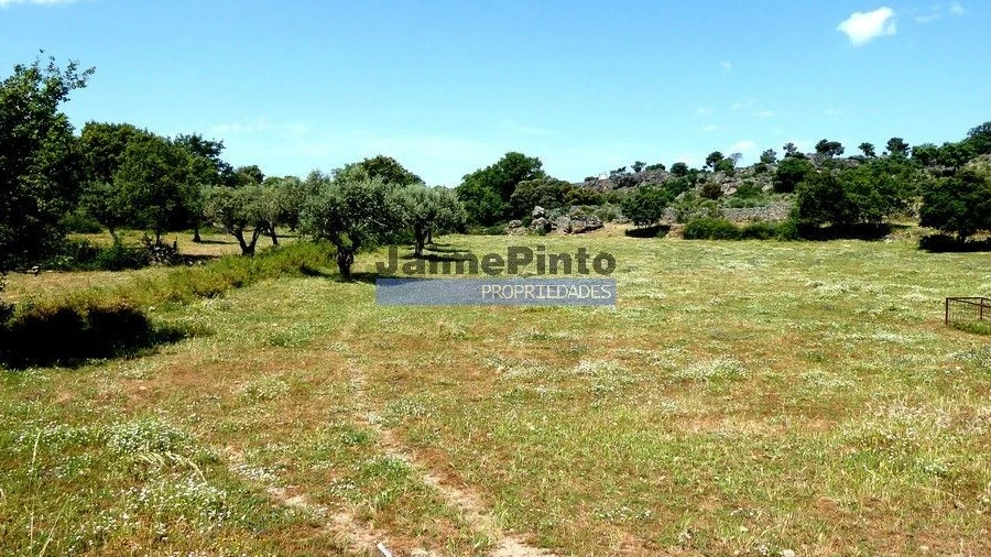 Terreno Agricola ou Rústico para Venda em Escalhão