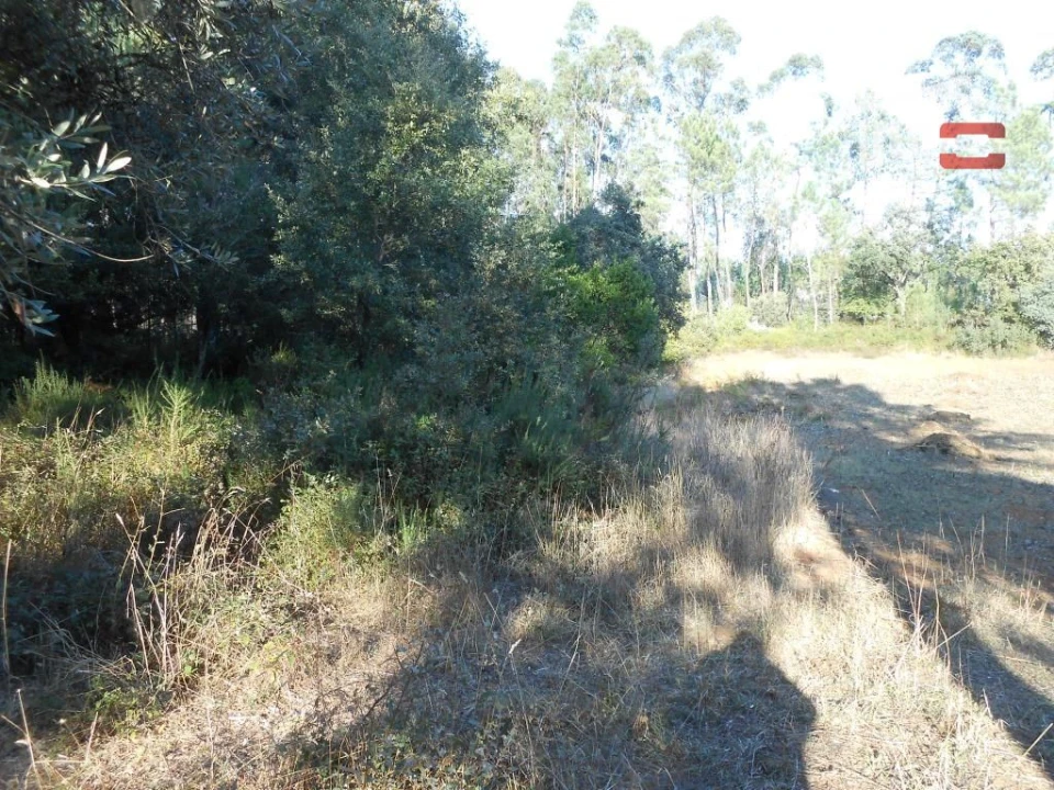 Terreno Agricola ou Rústico para Venda em Fatima Foto 1