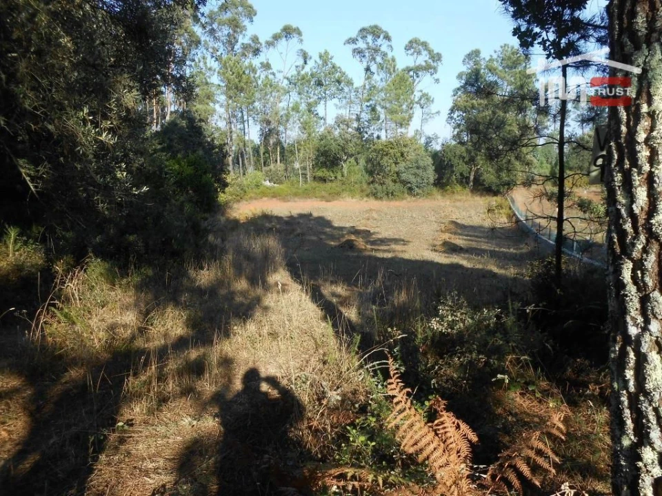 Terreno Agricola ou Rústico para Venda em Fatima Foto 3