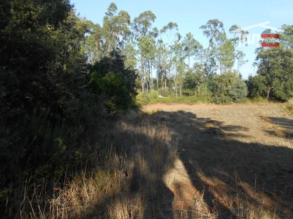 Terreno Agricola ou Rústico para Venda em Fatima Foto 6