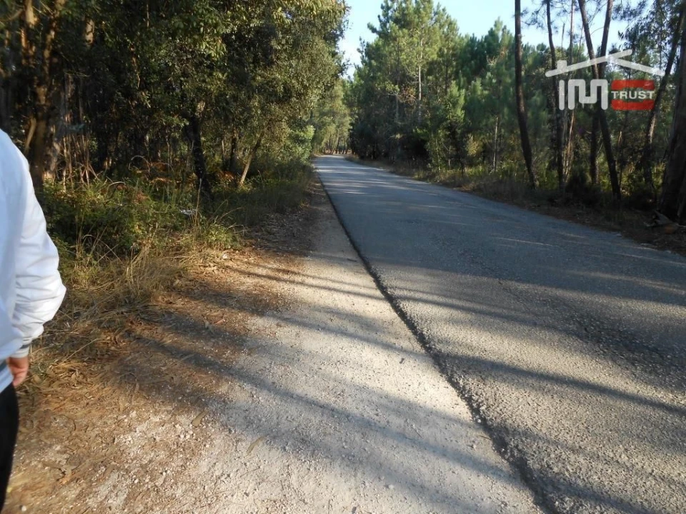 Terreno Agricola ou Rústico para Venda em Fatima Foto 9