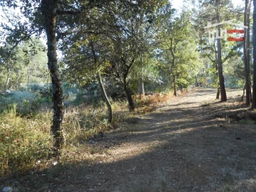 Terreno Agricola ou Rústico para Venda em Fatima