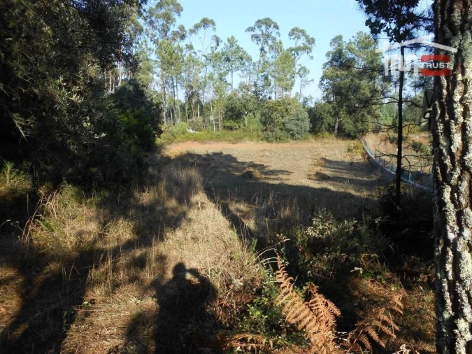 Terreno Agricola ou Rústico para Venda em Fatima Foto 3