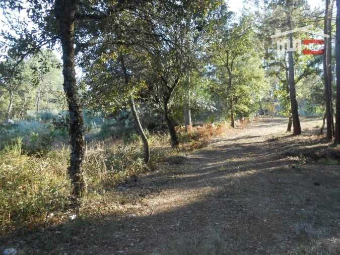 Terreno Agricola ou Rústico para Venda em Fatima Foto 4
