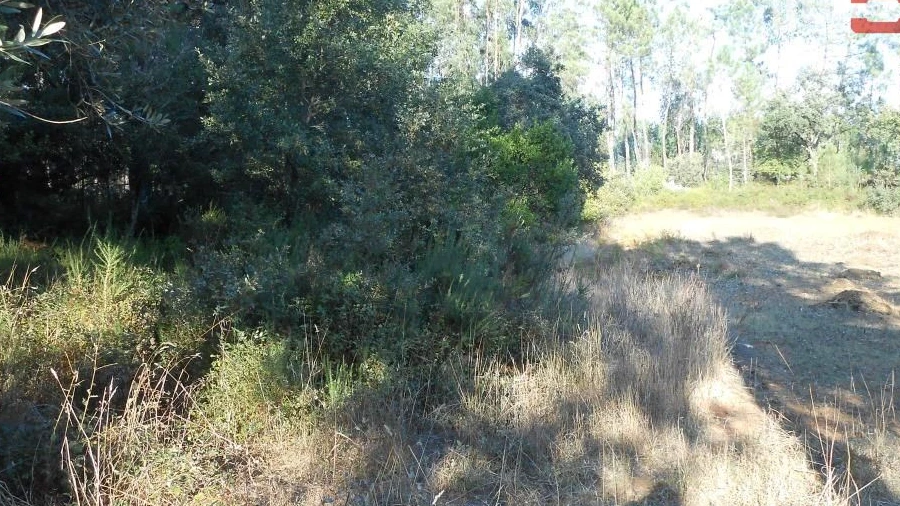 Terreno Agricola ou Rústico para Venda em Fatima