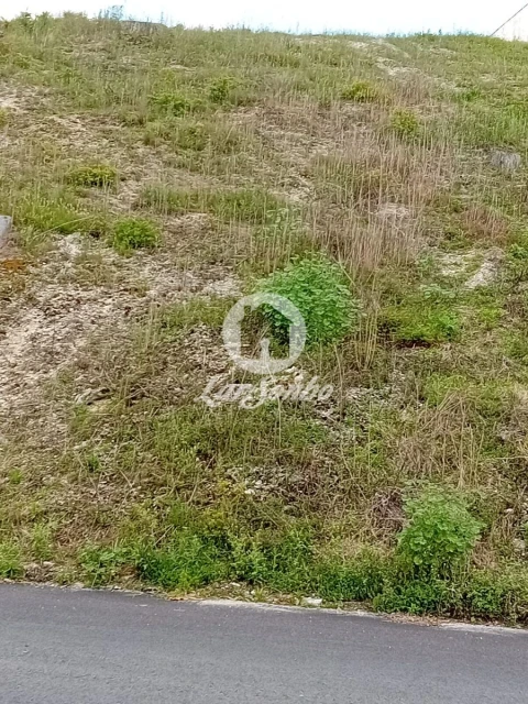 Terreno para Venda em Silvares, Pias, Nogueira e Alvarenga