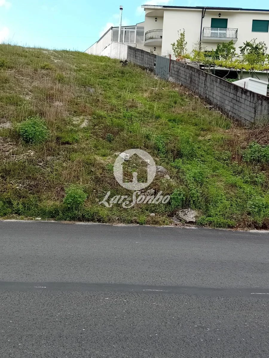 Terreno para Venda em Silvares, Pias, Nogueira e Alvarenga Foto 2