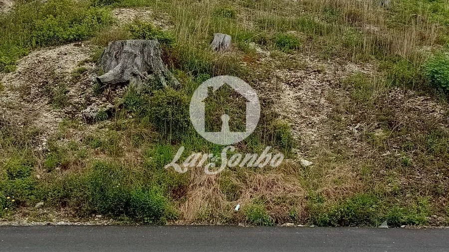 Terreno para Venda em Silvares, Pias, Nogueira e Alvarenga