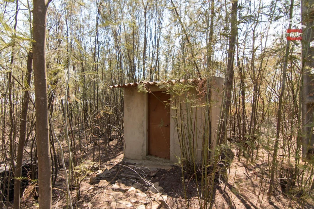 Quinta T0 para Venda em Esperança Foto 11