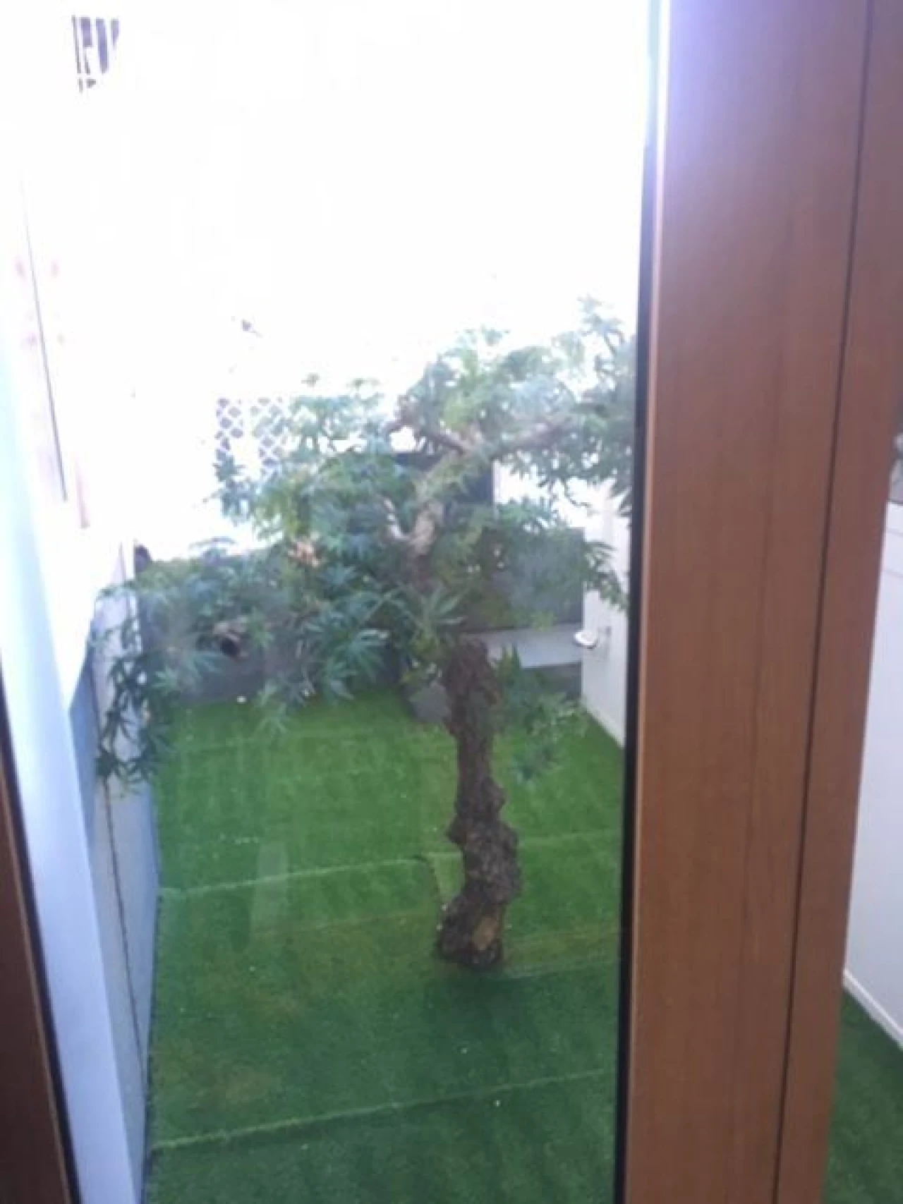 Escritório para Venda em Avenidas Novas Foto 7