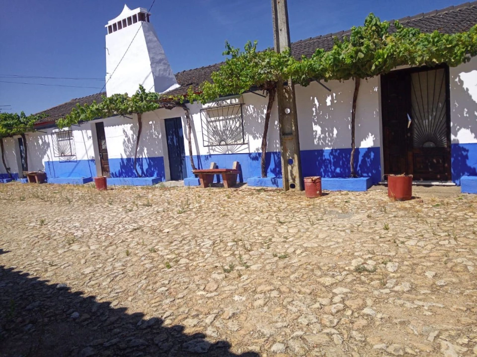 Quinta T4 para Venda em Casa Branca Foto 2