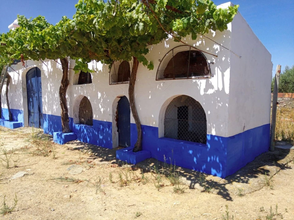 Quinta T4 para Venda em Casa Branca Foto 3