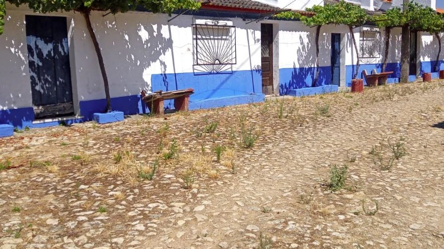 Quinta T4 para Venda em Casa Branca