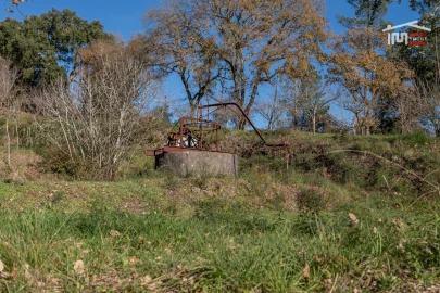 Terreno para Venda em Seiça