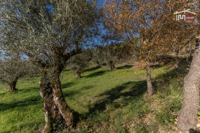Terreno para Venda em Seiça