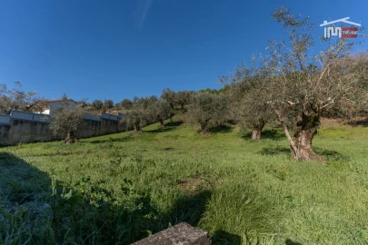 Terreno para Venda em Seiça