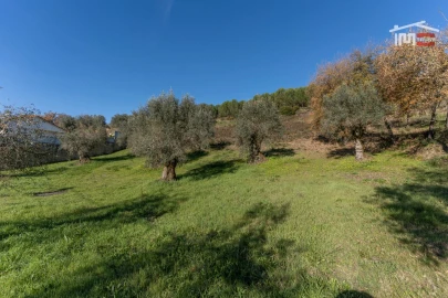 Terreno para Venda em Seiça