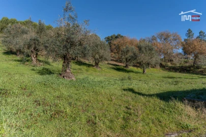 Terreno para Venda em Seiça