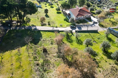 Terreno para Venda em Seiça