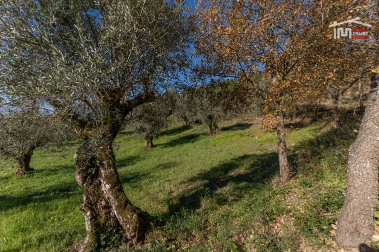 Terreno para Venda em Seiça Foto 3