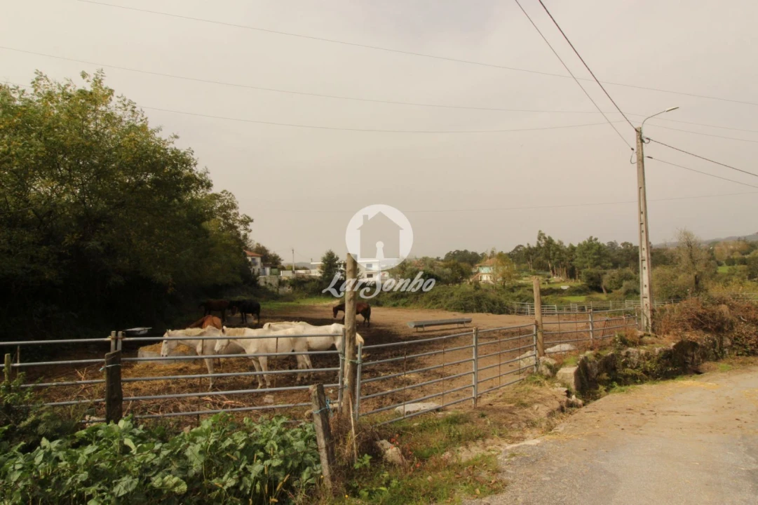 Quinta T5 para Venda em São Gens Foto 5