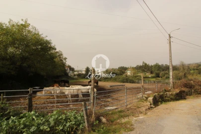 Quinta T5 para Venda em São Gens