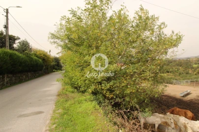 Quinta T5 para Venda em São Gens