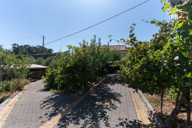 Moradia T3 para Venda em São Mamede Foto 34