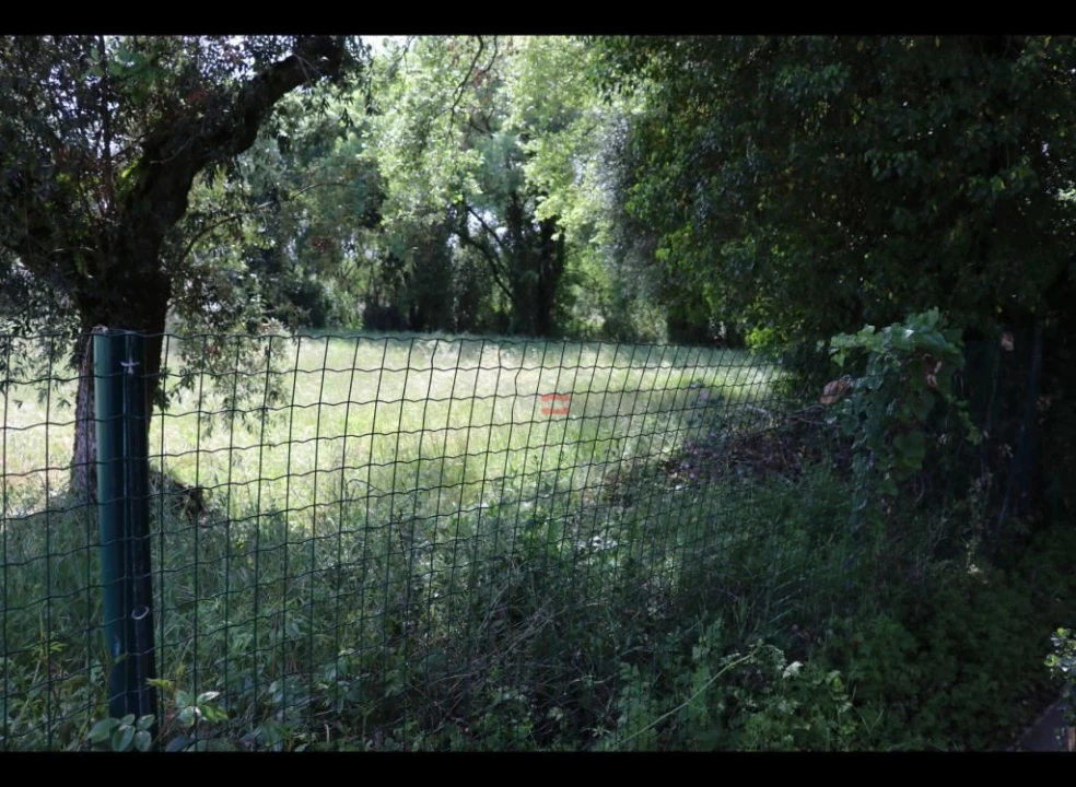 Moradia T2 para Venda em Pelma Foto 5