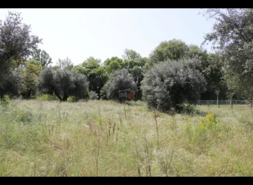 Moradia T2 para Venda em Pelma