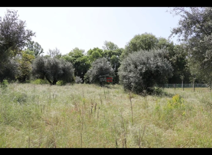 Moradia T2 para Venda em Pelma Foto 6