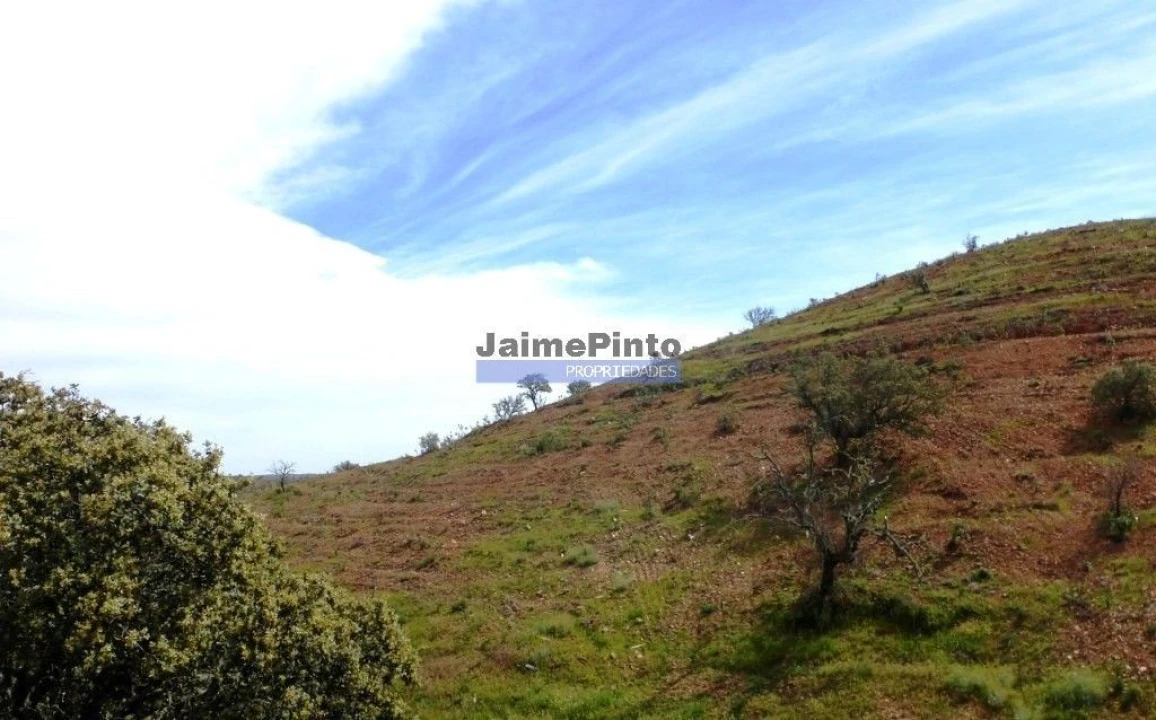 Terreno Agricola ou Rústico para Venda em Alcoutim e Pereiro Foto 2