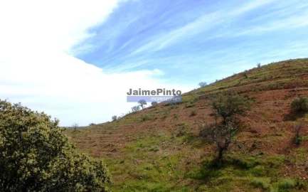 Terreno Agricola ou Rústico para Venda em Alcoutim e Pereiro
