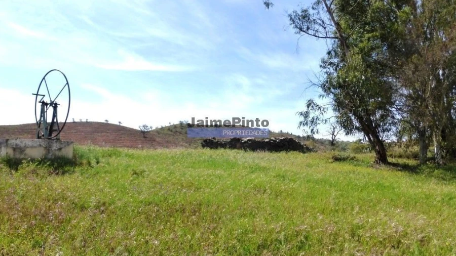 Terreno Agricola ou Rústico para Venda em Alcoutim e Pereiro