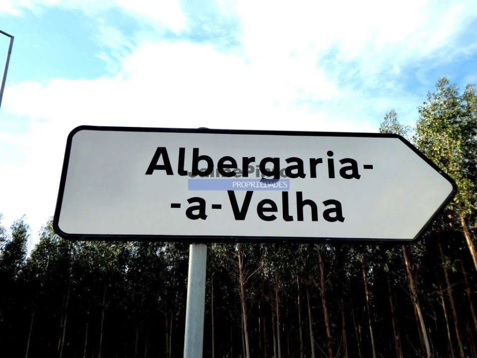 Terreno Agricola ou Rústico para Venda em Albergaria-A-Velha e Valmaior Foto 3
