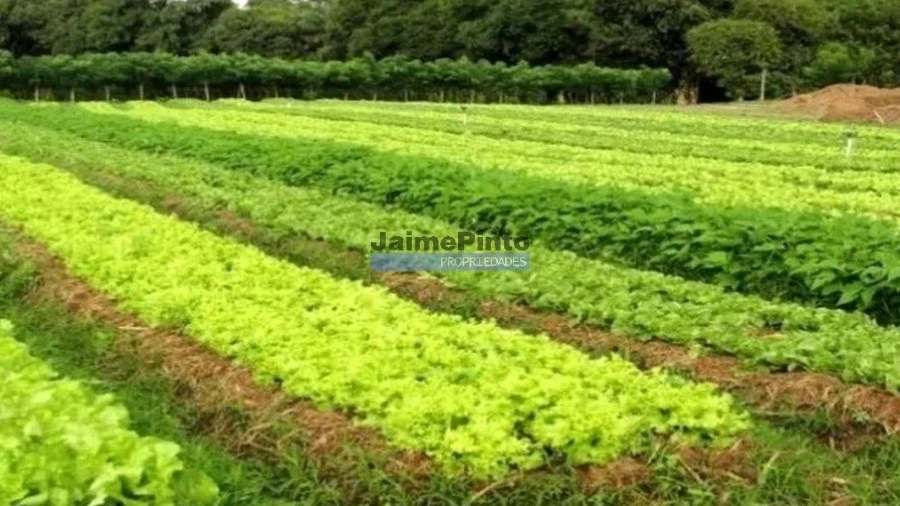 Terreno Misto para Venda em Loule (São Clemente)