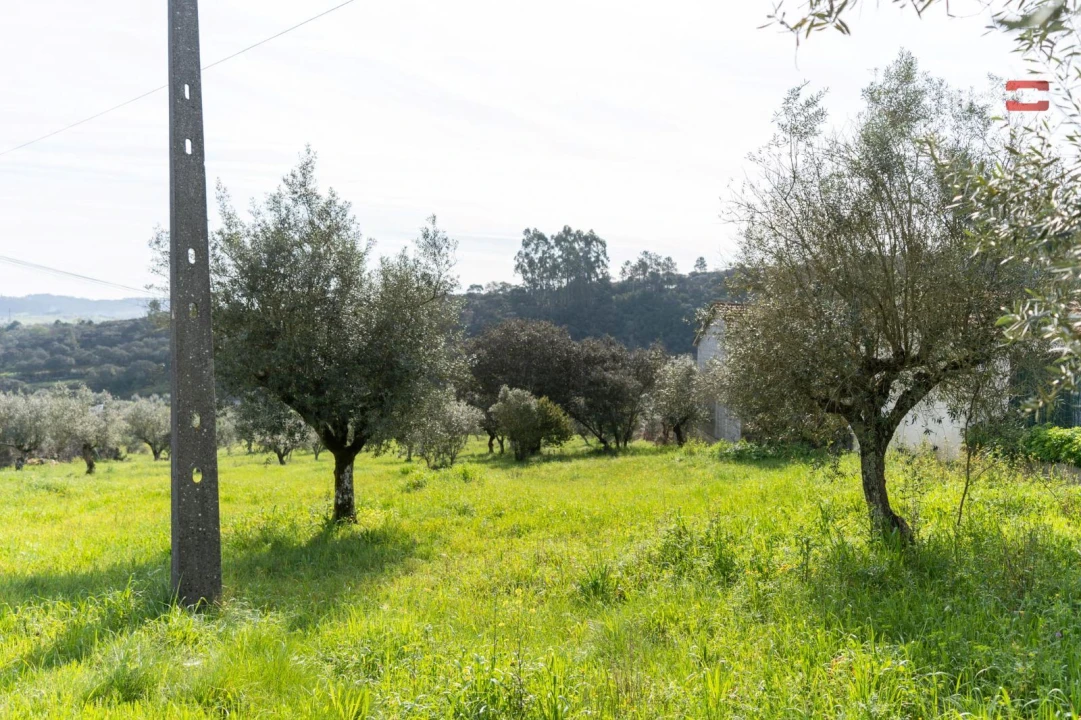 Terreno para Venda em Atouguia Foto 7