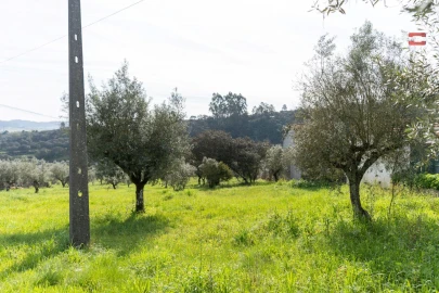 Terreno para Venda em Atouguia