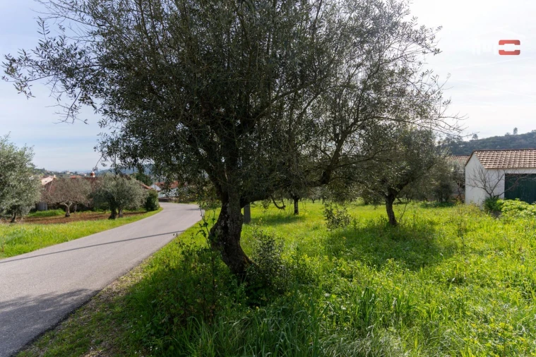 Terreno para Venda em Atouguia Foto 11