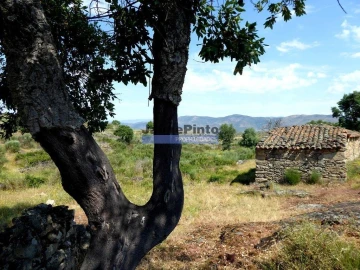Terreno Misto para Venda em Figueira de Castelo Rodrigo