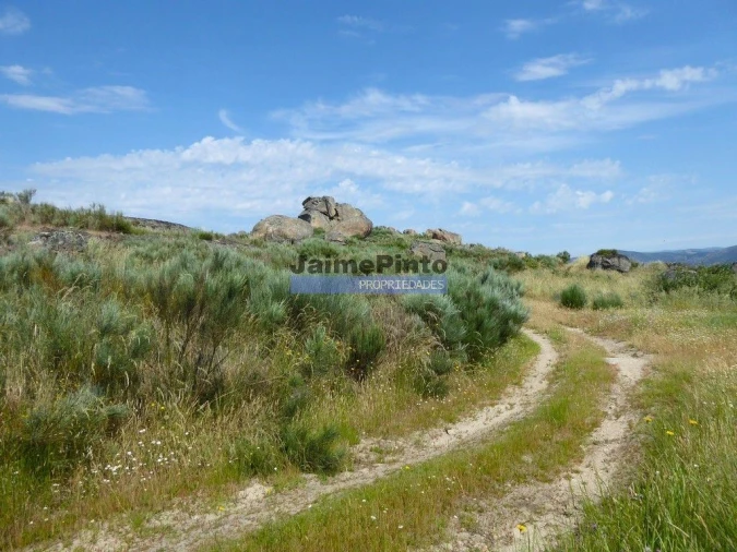 Terreno Misto para Venda em Figueira de Castelo Rodrigo Foto 7