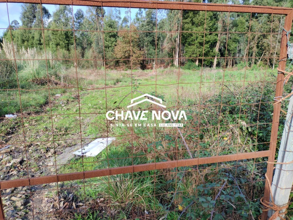 Terreno Agricola ou Rústico para Venda em Rio Meão Foto 1