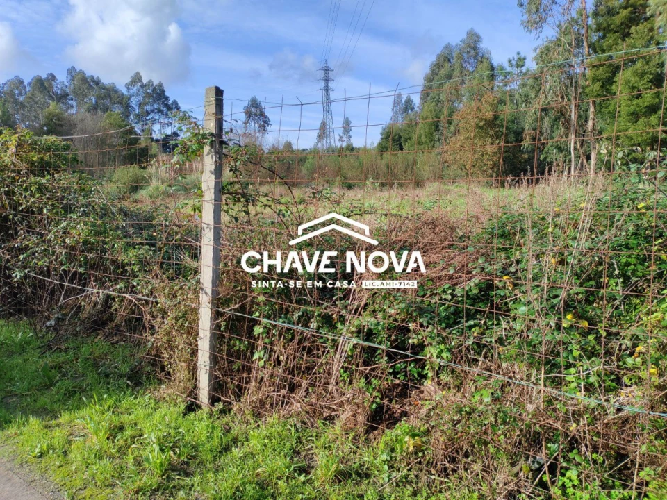 Terreno Agricola ou Rústico para Venda em Rio Meão Foto 5