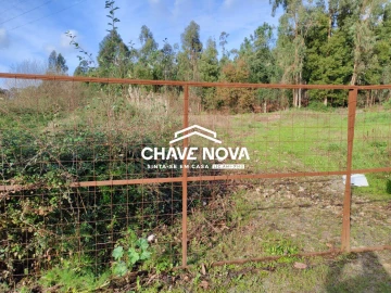 Terreno Agricola ou Rústico para Venda em Rio Meão