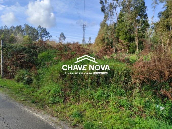 Terreno Agricola ou Rústico para Venda em Rio Meão Foto 4