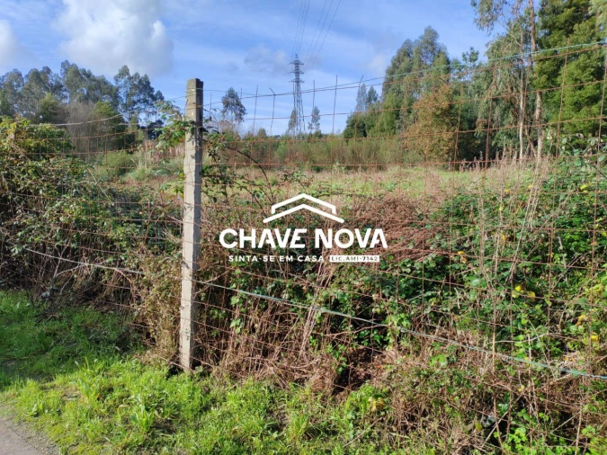 Terreno Agricola ou Rústico para Venda em Rio Meão Foto 5