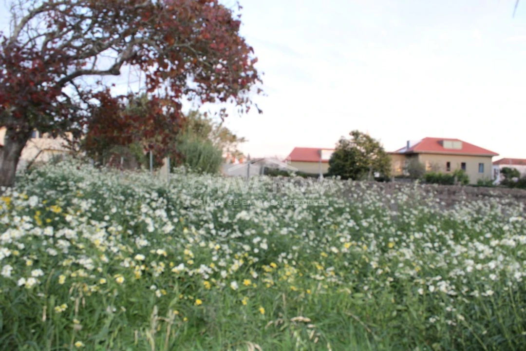 Quinta T4 para Venda em Arcozelo Foto 23