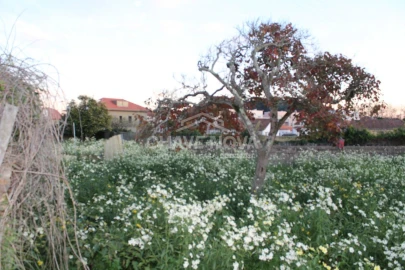 Quinta T4 para Venda em Arcozelo