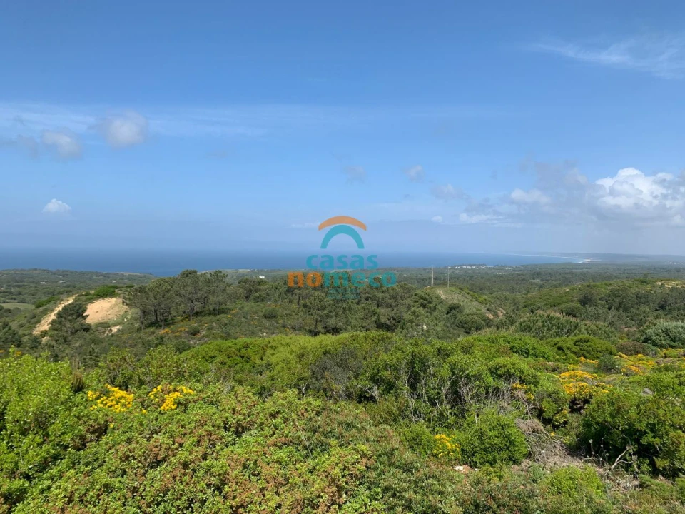 Terreno Agricola ou Rústico para Venda em Sesimbra (Castelo) Foto 4